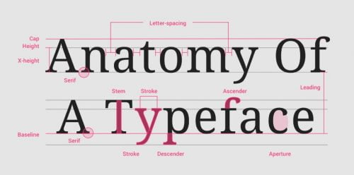 anatomi tipografi
