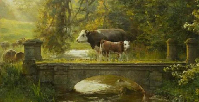 Gambar Ilustrasi Naturalis