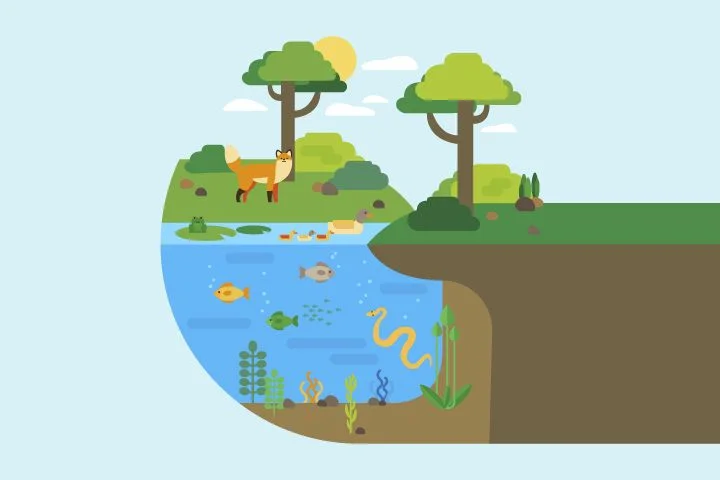 Interaksi-Makhluk-Hidup-dengan-Lingkungan-(Ekosistem)