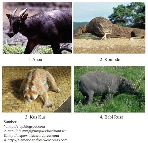 Contoh fauna Indonesia Bagian Tengah