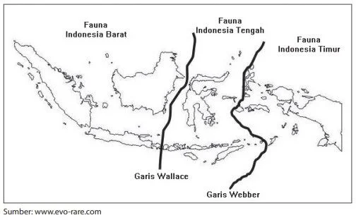 Pembagian wilayah sebaran fauna di Indonesia