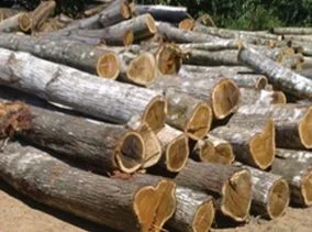 bahan-media-campuran-kayu