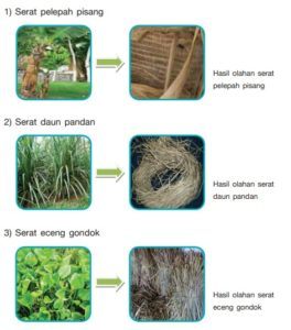 Kerajinan Serat  Jenis Pengolahan  Proses Alat Contoh 