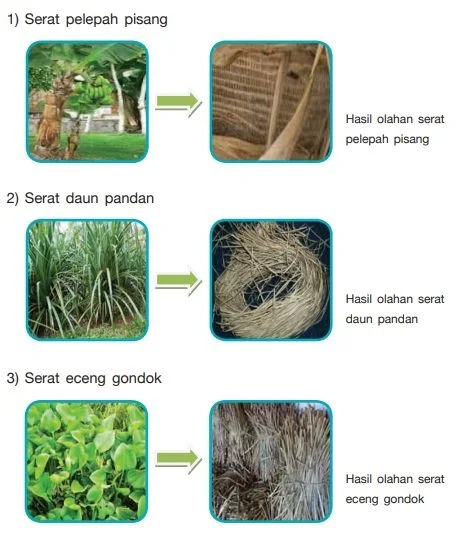 Bahan Kerajinan Serat Tumbuhan