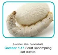 serat dari filamen