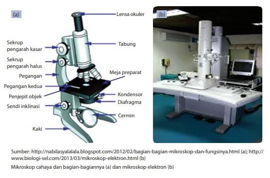bagian-bagian mikroskop