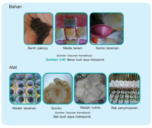 bahan hidroponik