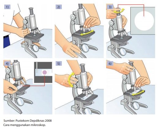 cara langkah-langkah menggunakan mikroskop