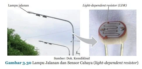 lampu jalan sensor meniru kaktus