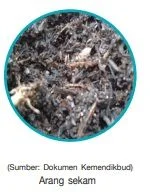 media tanam arang sekam