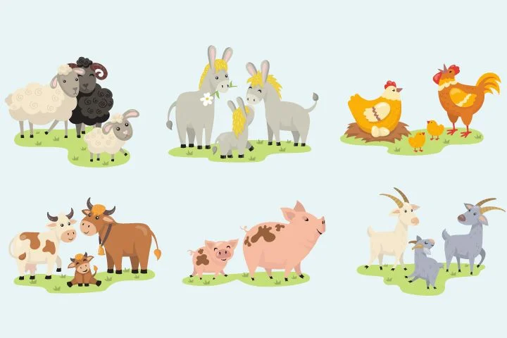 perkembangbiakan-hewan