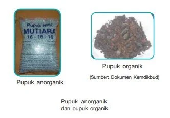 pupuk organik dan anorganik