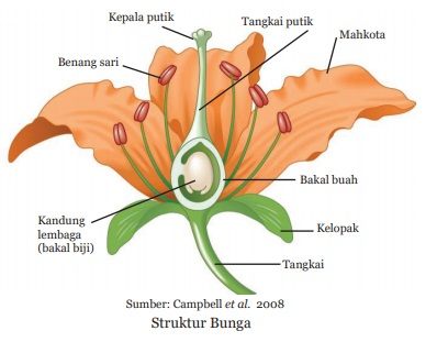 struktur bunga