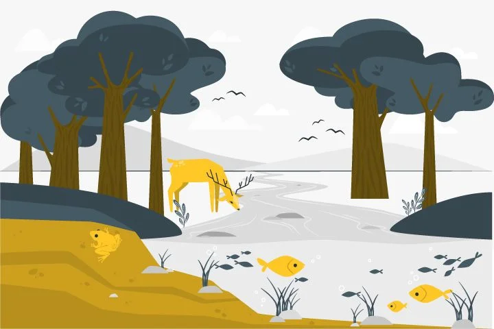Menggambar-Flora,-Fauna,-dan-Alam-Benda