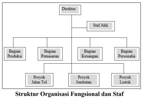 bagan struktur organisasi fungsional dan staf