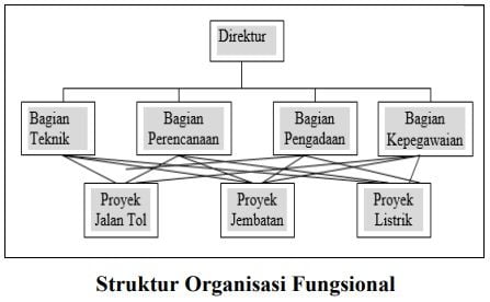 bagan struktur organisasi fungsional