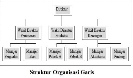 bagan struktur organisasi garis