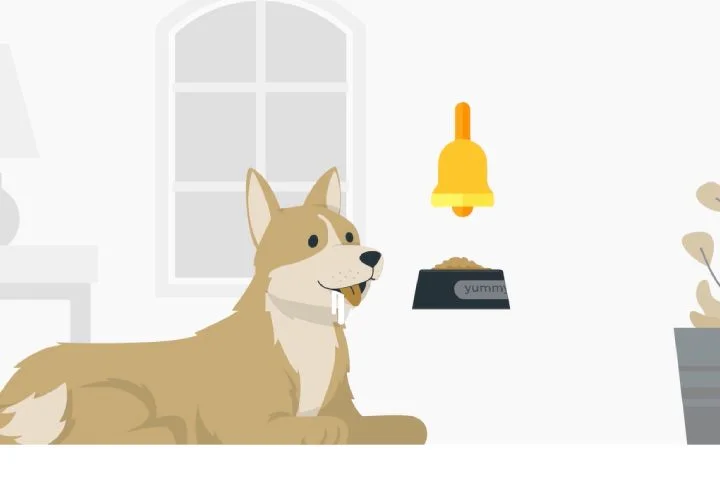 classical conditioning